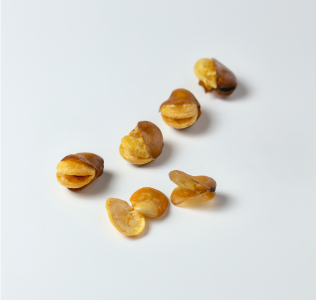 豆・ナッツ・木の実